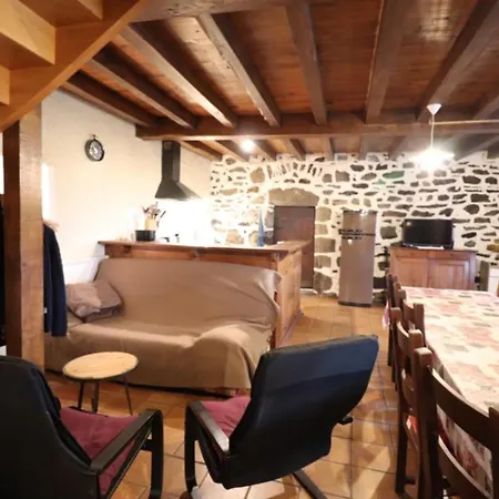 Maison De Caractere A Avec Terrain, Terrasse Et Parking Prive - Fr-1-742-123 * Polminhac